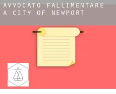 Avvocato fallimentare a City of Newport
