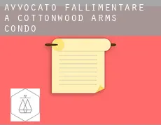 Avvocato fallimentare a  Cottonwood Arms Condo