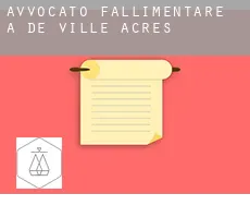 Avvocato fallimentare a  De Ville Acres