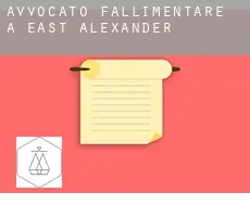 Avvocato fallimentare a East Alexander