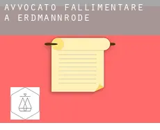 Avvocato fallimentare a  Erdmannrode