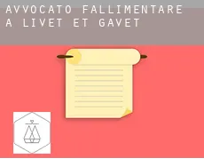 Avvocato fallimentare a  Livet-et-Gavet
