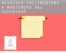 Avvocato fallimentare a Montenero Val Cocchiara