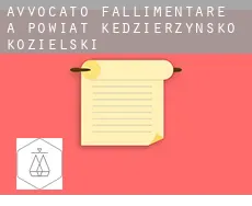 Avvocato fallimentare a Powiat kędzierzyńsko-kozielski