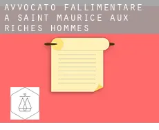 Avvocato fallimentare a Saint-Maurice-aux-Riches-Hommes