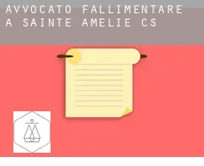 Avvocato fallimentare a  Sainte-Amélie (census area)