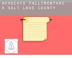 Avvocato fallimentare a  Salt Lake County