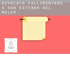 Avvocato fallimentare a  San Esteban del Molar