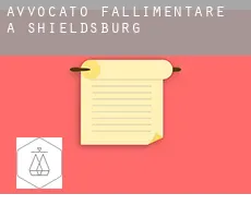 Avvocato fallimentare a  Shieldsburg