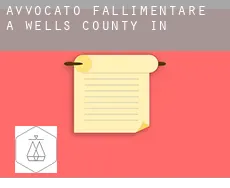 Avvocato fallimentare a  Wells County