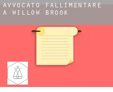 Avvocato fallimentare a Willow Brook