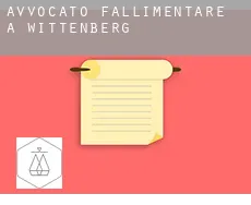 Avvocato fallimentare a  Wittenberg