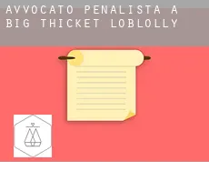Avvocato penalista a  Big Thicket Loblolly