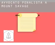 Avvocato penalista a  Mount Savage