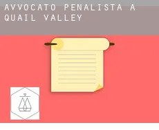 Avvocato penalista a  Quail Valley