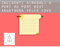 Incidenti stradali a  Port au Port West-Aguathuna-Felix Cove