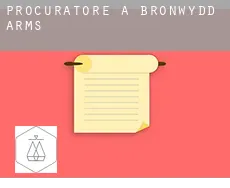 Procuratore a Bronwydd Arms