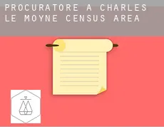 Procuratore a  Charles-Le Moyne (census area)