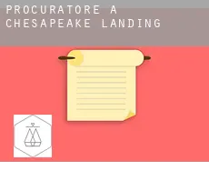 Procuratore a  Chesapeake Landing