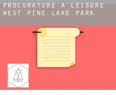 Procuratore a  Leisure Village West-Pine Lake Park