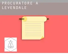 Procuratore a Levendale
