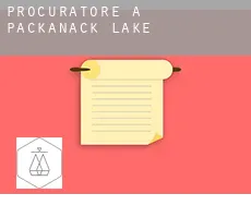 Procuratore a  Packanack Lake