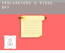 Procuratore a  Ridge Bay