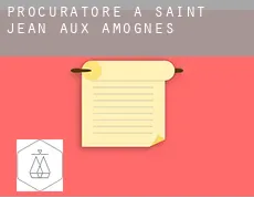 Procuratore a  Saint-Jean-aux-Amognes