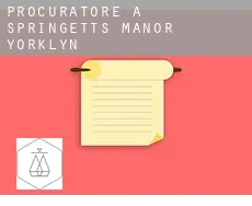 Procuratore a  Springetts Manor-Yorklyn