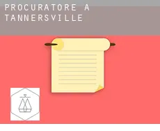 Procuratore a  Tannersville