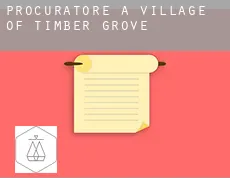 Procuratore a  Village of Timber Grove