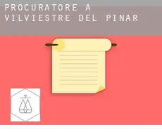 Procuratore a  Vilviestre del Pinar