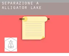 Separazione a  Alligator Lake