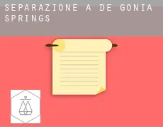 Separazione a  De Gonia Springs