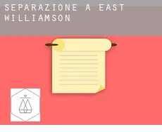 Separazione a  East Williamson