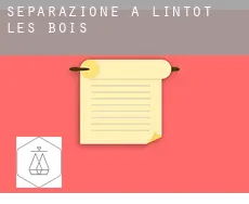 Separazione a  Lintot-les-Bois