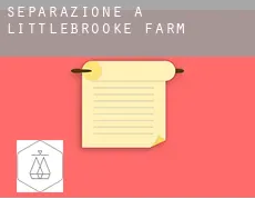 Separazione a  Littlebrooke Farm