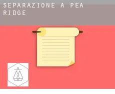 Separazione a  Pea Ridge