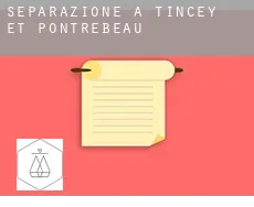 Separazione a  Tincey-et-Pontrebeau