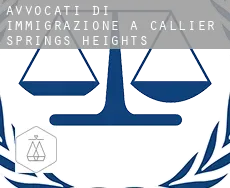 Avvocati di immigrazione a  Callier Springs Heights