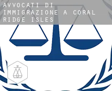 Avvocati di immigrazione a  Coral Ridge Isles
