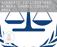 Avvocato fallimentare a  Mont-Carmel (census area)