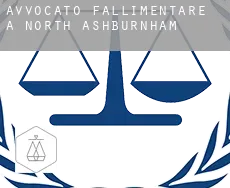Avvocato fallimentare a  North Ashburnham