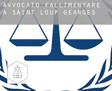 Avvocato fallimentare a  Saint-Loup-Géanges