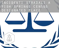 Incidenti stradali a  Fish Springs