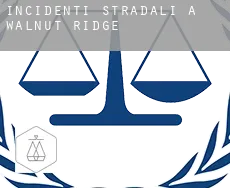 Incidenti stradali a  Walnut Ridge