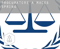 Procuratore a Maces Spring