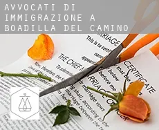 Avvocati di immigrazione a  Boadilla del Camino