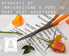 Avvocati di immigrazione a  Port au Port West-Aguathuna-Felix Cove