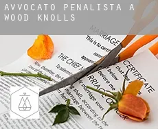 Avvocato penalista a  Wood Knolls